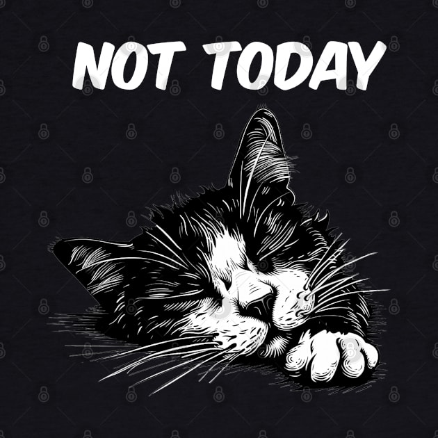 Not Today Funny Cat by NineBlack